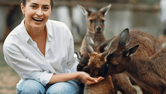 A woman laughing while hand-feeding kangaroos